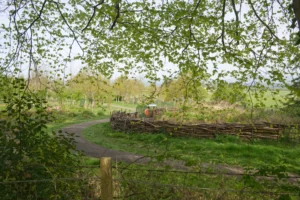 Dead hedge around Glebe Park ponds