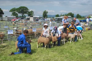 Gargunnock Agricultural Show