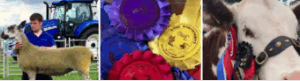 Gargunnock Farmers Show