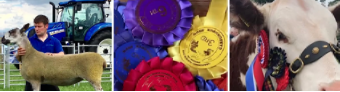 Gargunnock Farmers Show