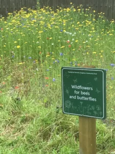 Wildlife meadow at the Glebe Park