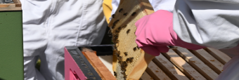 Gargunnock Beekeepers