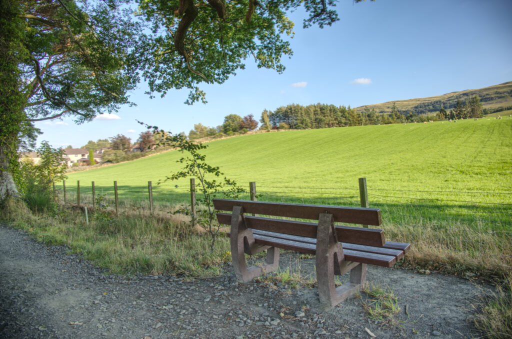 Gargunnock Beeches Bench