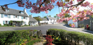Gargunnock Village cherry blossoms
