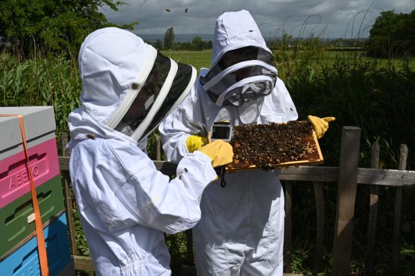 Gargunnock beekeepers