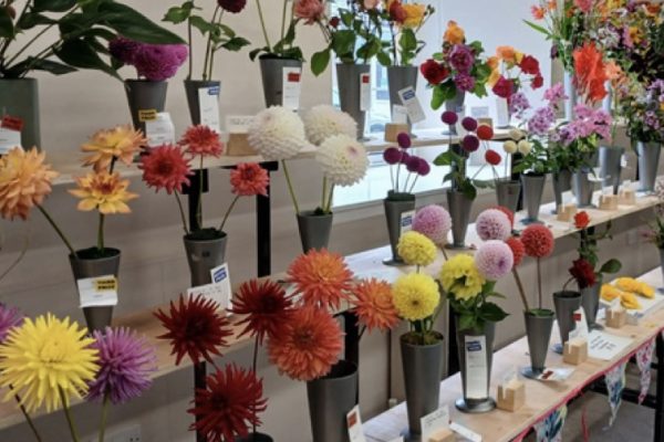 Gargunnock flower staging