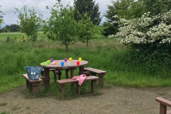 Picnic table in Glebe Park